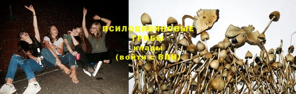 MESCALINE Алексеевка