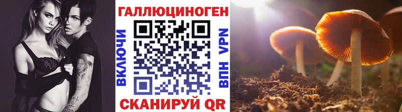 даркнет сайт  Ликино-Дулёво  кракен как войти  Псилоцибиновые грибы мухоморы 
